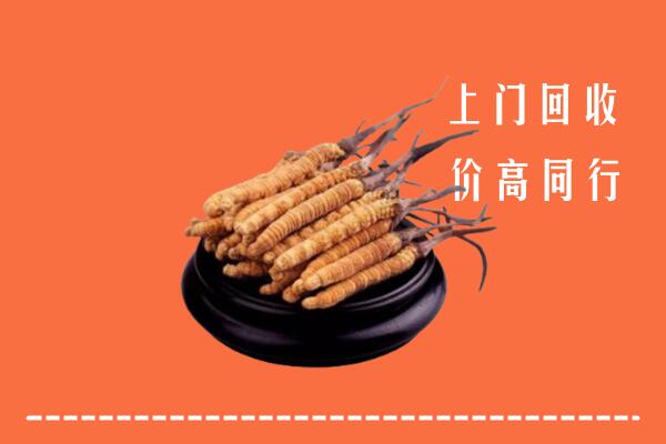固阳县回收散虫草
