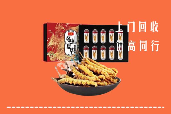 固阳县回收虫草